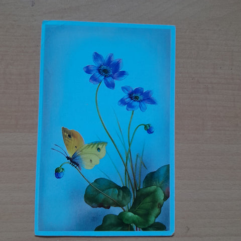 AK Schmetterling.