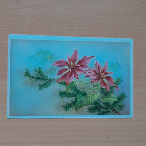AK Weihnachten (Weihnachtsstern, Fichten)
