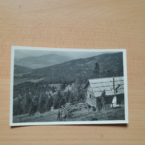 AK See-Hütte bei Neumarkt.