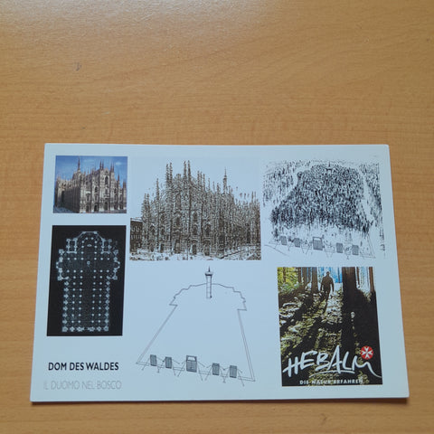 AK Dom des Waldes. Il Duomo nel Bosco. Hebalm.