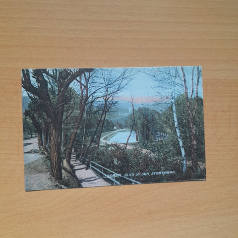 AK Leoben Blick in den Stadtpark. (1907)