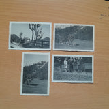 4 Fotos Radmer (1949)