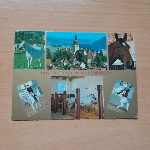 AK Piber. Bundesgestüt.