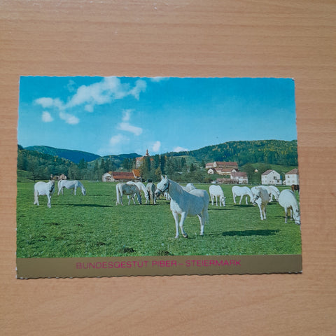 AK Piber. Bundesgestüt.