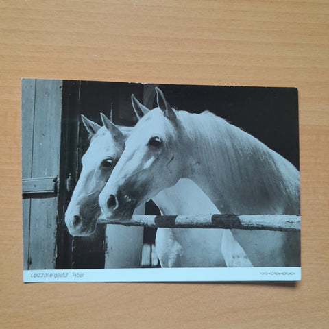 AK Lipizzanergestüt Piber.