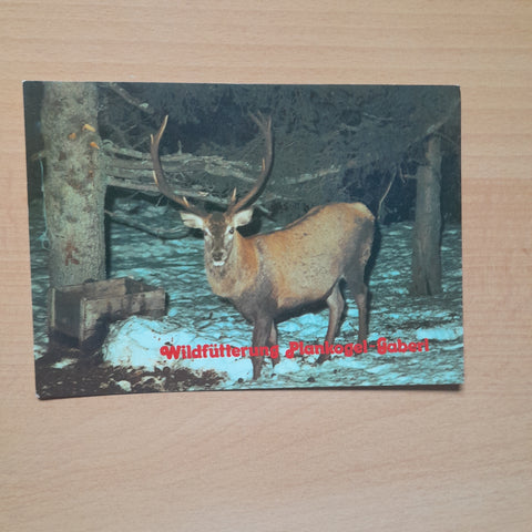 AK Wildfütterung Plankogel Gaberl. Salla.