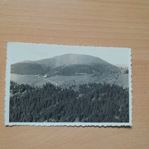 AK Stubalmhaus Gaberl mit Grössing. (1940)