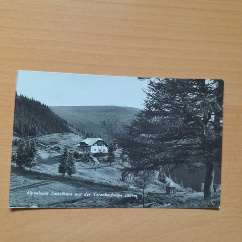 AK Alpenheim Sattelhaus auf der Terenbachalpe. (1937)