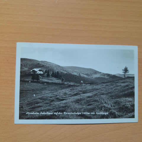 AK Alpenheim Sattelhaus auf der Terenbachalpe. (1937)