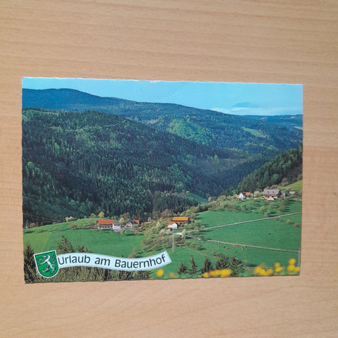 AK St. Martin am Wöllmißberg. Groß-Wöllmiß 6. J. u. A. Hanus. vlg. Schweiger.