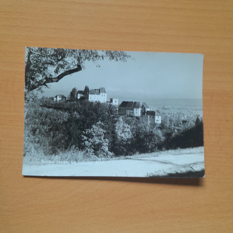 AK Schloss Seggau bei Leibnitz.