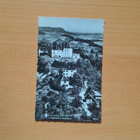 AK Schloss Seggau u. Schlosskeller am Seggauberg.