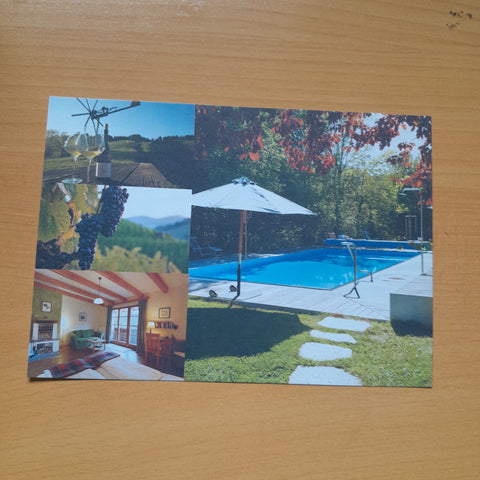 AK Biologisch-Dynamisches Weingut Tauss. Leutschach.