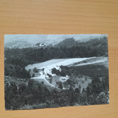 AK Leutschach. Gasthof Pension Moserhof. Grosswalz.