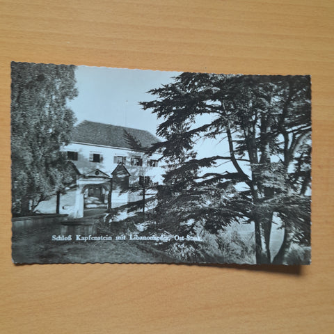 AK Schloß Kapfenstein mit Libanonzeder.
