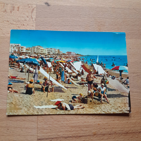 AK Caorle. Falconera Spiaggia di levante.