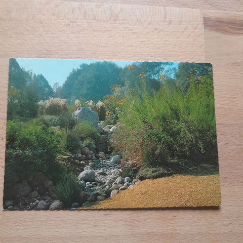 AK Linz. Botanischer Garten. Trockenbachbett mit Konglomeratblock und Chinaschilf.