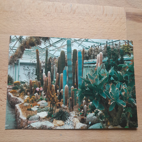 AK Linz. Botanischer Garten. Sukkulentenhaus.