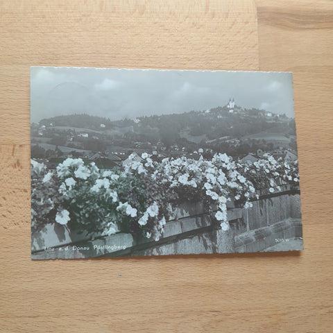 AK Linz. Pöstlingberg.