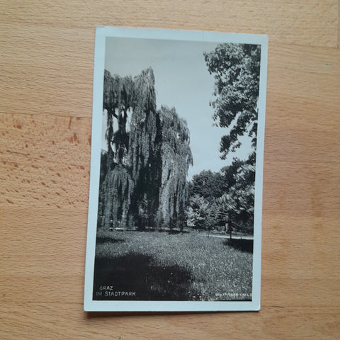 AK Graz im Stadtpark.