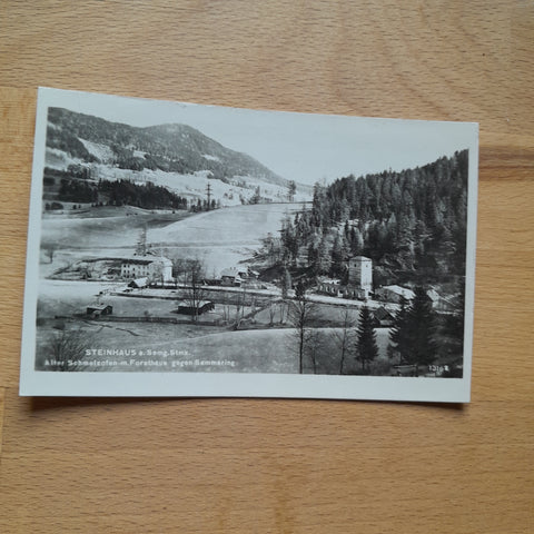 AK Steinhaus am Semmering. Alter Schmelzofen mit Forsthaus gegen Semmering.