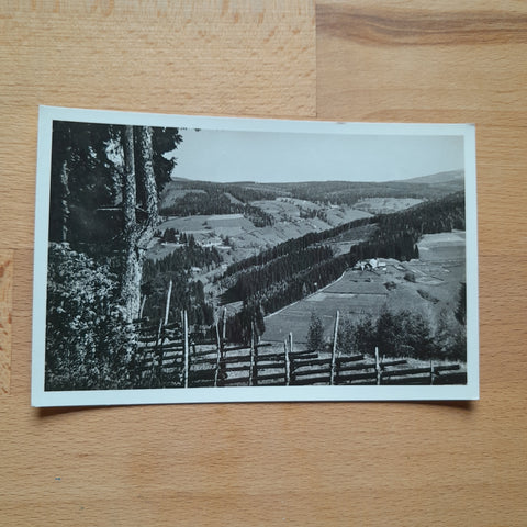 AK Blick von Roseggers Geburtshaus gegen Pretulalpe.
