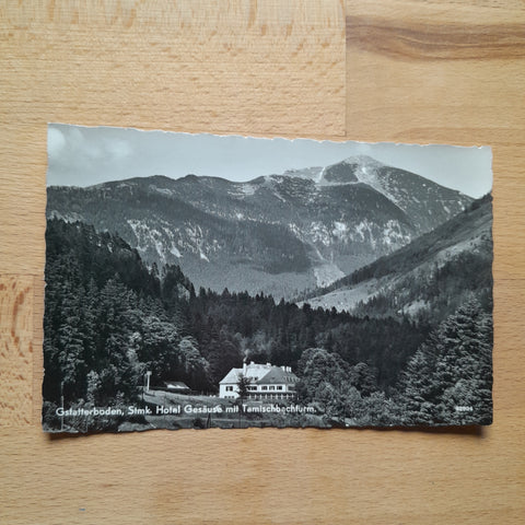 AK Gstatterboden. Hotel Gesäuse mit Tamischbachturm.