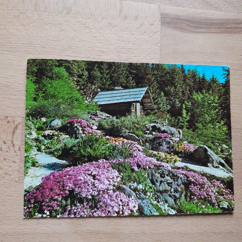 AK Ausseer Land. Bad Aussee. Alpengarten an der Pötschenstraße.