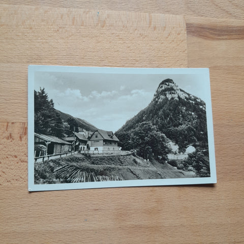 AK Palfau mit Meidlingstein.