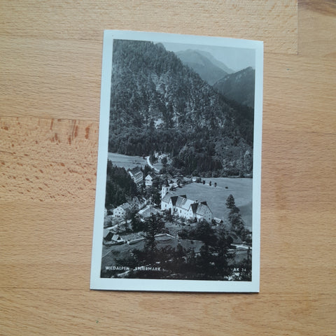 AK Wildalpen.