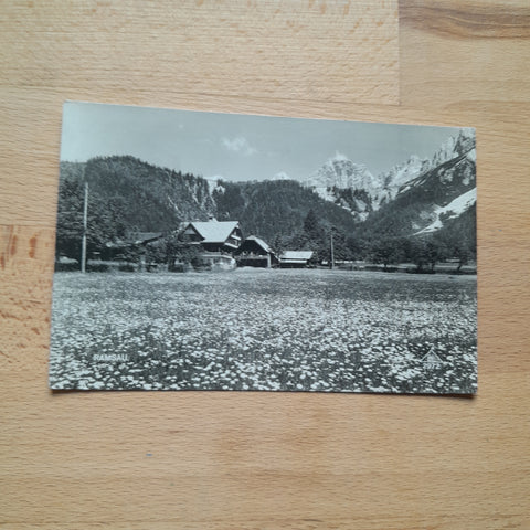 AK Ramsau.