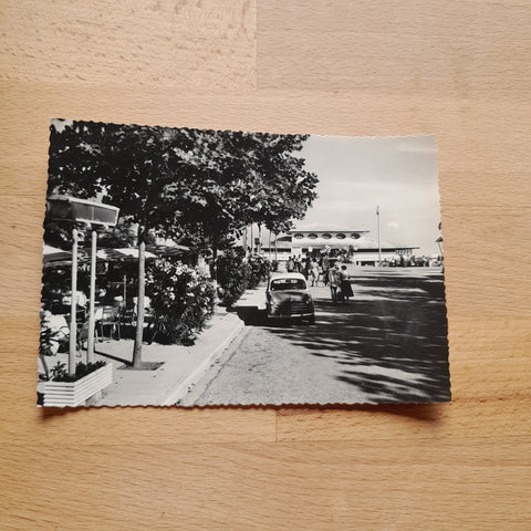 AK Lignano. Giardini e Terrazza.