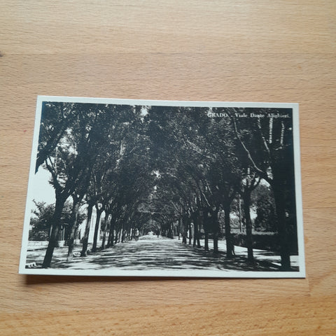AK Grado. Viale Dante Alighieri.