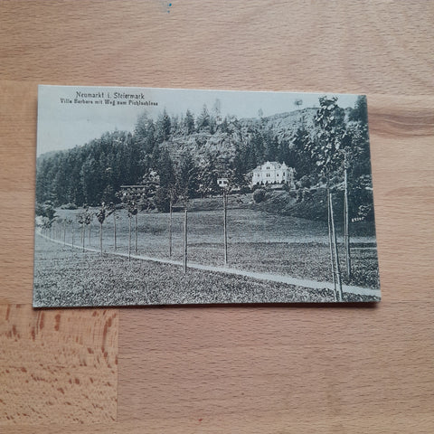 AK Neumarkt. Villa Barbara mit Weg zum Pichlschloss.