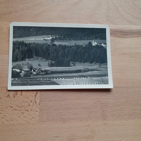 AK Graslupteich mit Zeutschach bei Neumarkt.