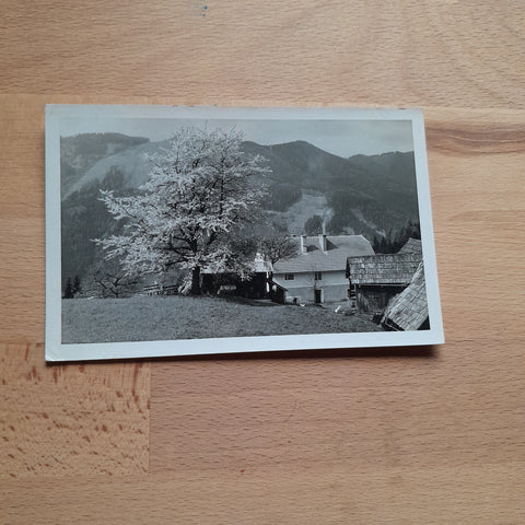 AK Lind bei Scheifling.