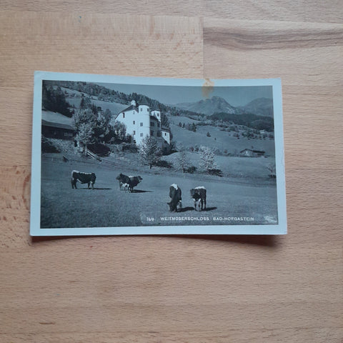 AK Bad Hofgastein. Weitmoserschloss (1949)