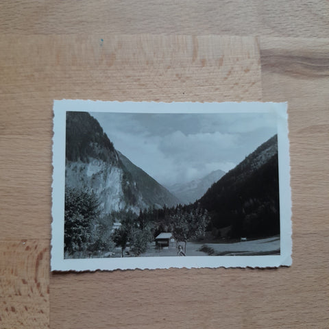 Kleines Foto Bad Gastein Grüner Baum. (1961)