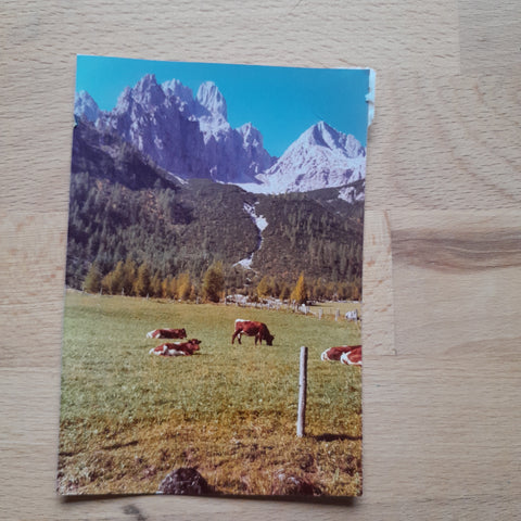 Foto Blick Richtung Bischofsmütze.