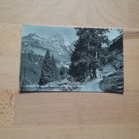 AK Filzmoos Am Weg zur Hofpürglhütte mit Bischofsmütze.