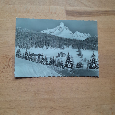 AK Neuberg-Filzmoos. Alpengasthof Pension Neubergerhof. Bes. E. u. J. Reiter.