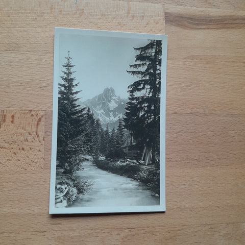 AK Bischofsmütze v. Filzmoos.