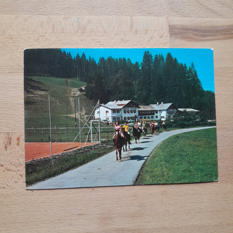 AK Niedernfritz. Pension Steiner.