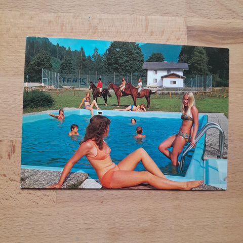 AK Niedernfritz. Pension Steiner.