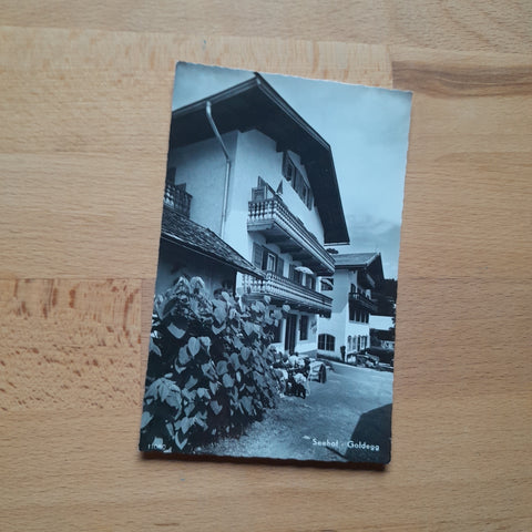 AK Goldegg im Pongau. Seehof.