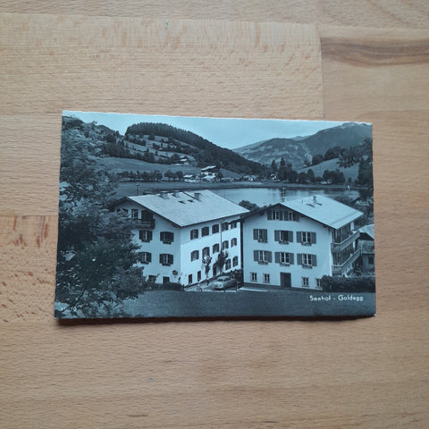 AK Goldegg im Pongau. Seehof.