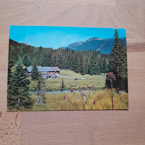 AK In den Nockbergen Österreichs (Kärnten - Steiermark - Lungau) Die Glanackensäge und Kratzdeisteln im Jagd- und Erholungsgebiet Flattnitz.
