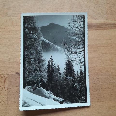 AK Auf Rückseite Stempel "Falkerthaus".