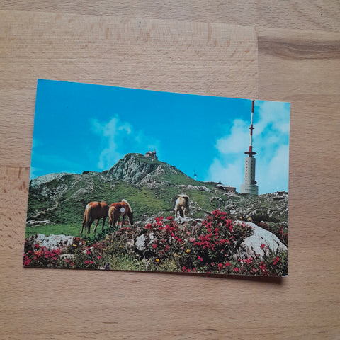 AK Villacher Alpe. Dobratschgipfel.