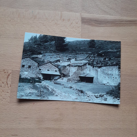 AK Ausgrabung des Landes Kärnten auf dem Magdalensberg. Tribunal.